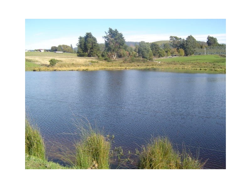 35917 Tasman Highway, Springfield TAS 7260