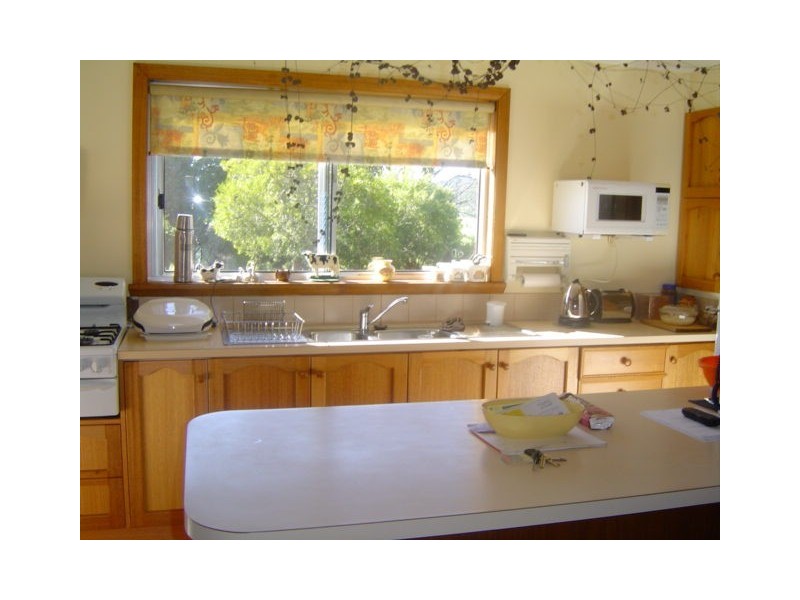 35917 Tasman Highway, Springfield TAS 7260