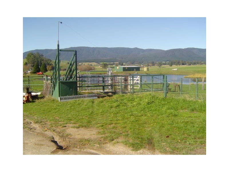 35917 Tasman Highway, Springfield TAS 7260