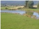 35917 Tasman Highway, Springfield TAS 7260