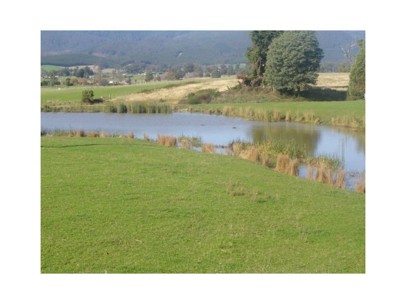 35917 Tasman Highway, Springfield TAS 7260