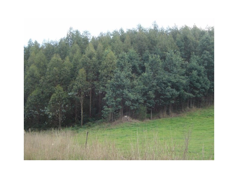 . Cuckoo Hill Road, Ringarooma TAS 7263