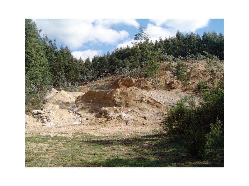 . Cuckoo Hill Road, Ringarooma TAS 7263