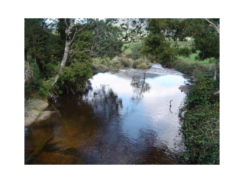 . Cuckoo Hill Road, Ringarooma TAS 7263