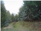 . Cuckoo Hill Road, Ringarooma TAS 7263