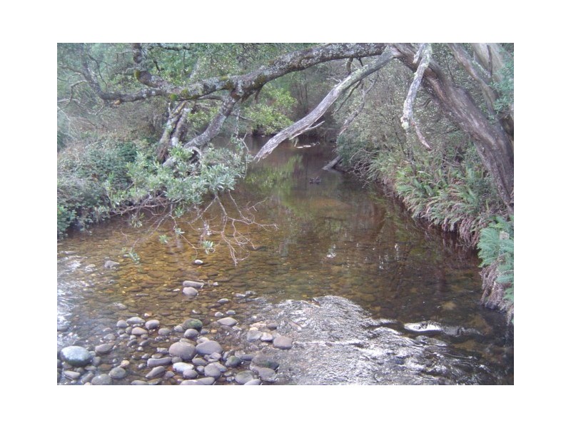 . Cuckoo Hill Road, Ringarooma TAS 7263