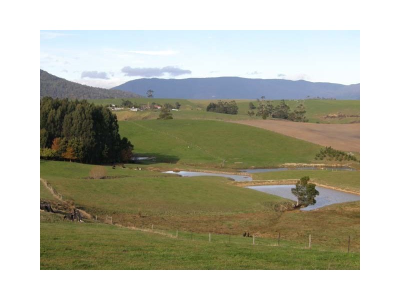 56 Williams Road, Scottsdale TAS 7260