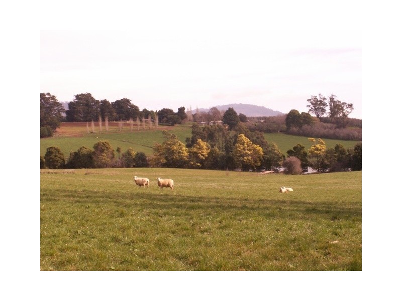 144 Fairfield Road, Scottsdale TAS 7260