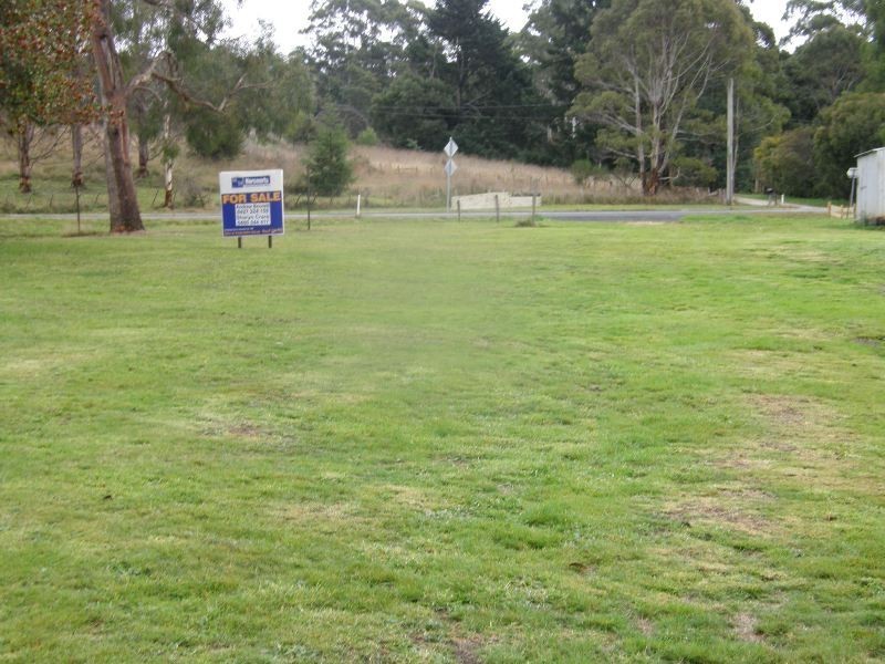 1 Blundell Street, Weldborough TAS 7264