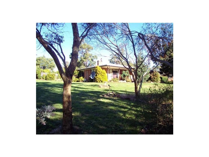10 Briggs Road, Scottsdale TAS 7260