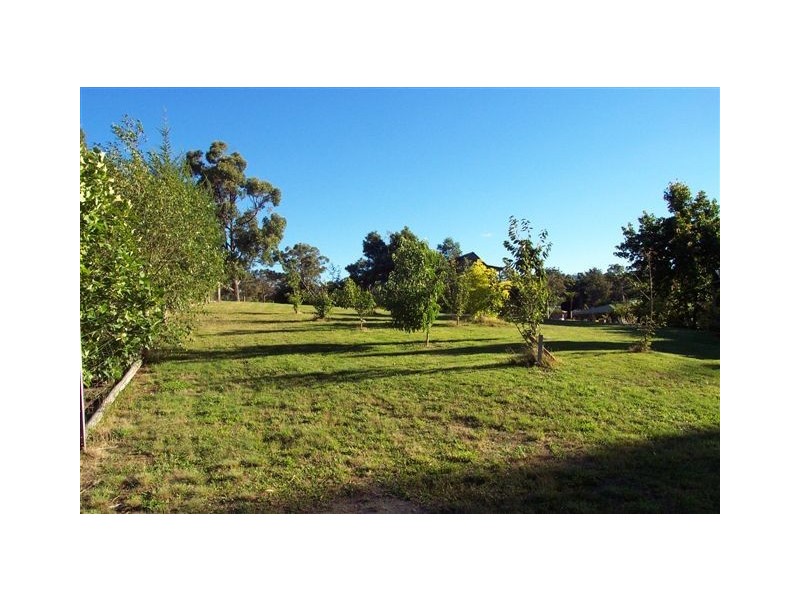 10 Briggs Road, Scottsdale TAS 7260