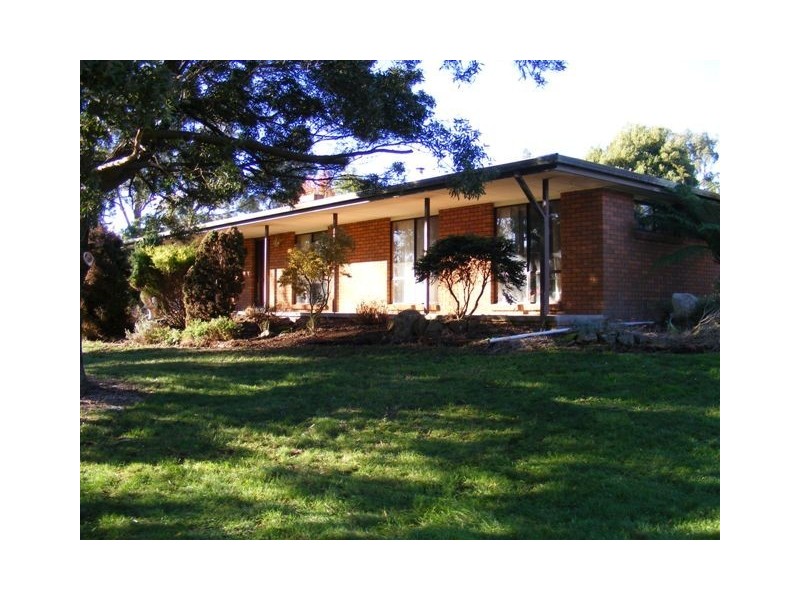 10 Briggs Road, Scottsdale TAS 7260