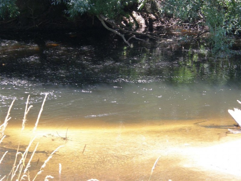 2 Renison & 5 Main  Street, Derby TAS 7264