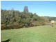 1 Christopher Street, Derby TAS 7264