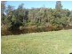 1 Christopher Street, Derby TAS 7264