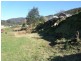 1 Christopher Street, Derby TAS 7264