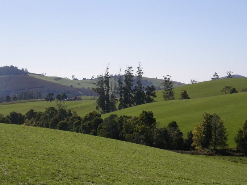 35 Beatties Road, Scottsdale TAS 7260