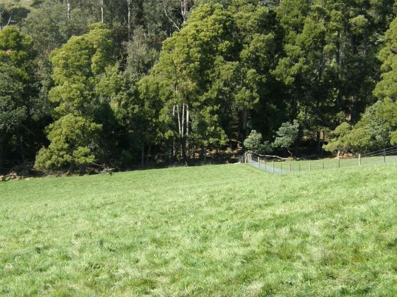 35 Beatties Road, Scottsdale TAS 7260