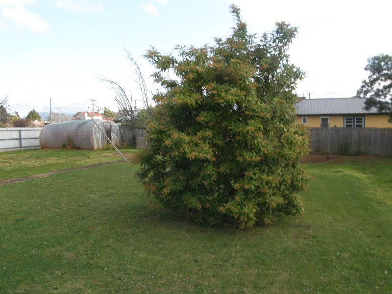 19 Victoria Street, Scottsdale TAS 7260