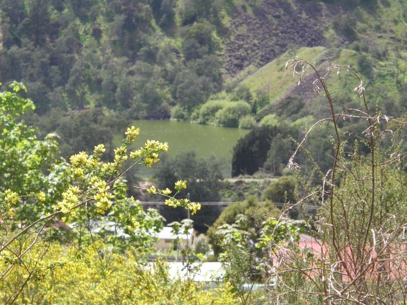 12 Mulhern Street, Derby TAS 7264