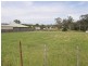 16 Emily Street, Bridport TAS 7262