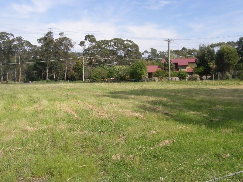 16 Emily Street, Bridport TAS 7262