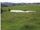 65 Main Street, Winnaleah TAS 7265