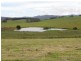 Lot 1 Hardmans Lane, Winnaleah TAS 7265