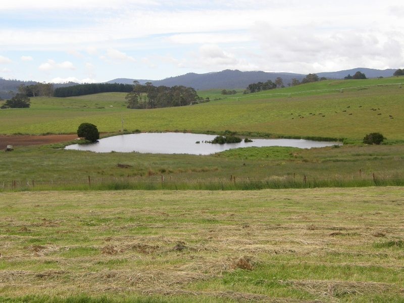 Lot 1 Hardmans Lane, Winnaleah TAS 7265
