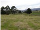 Lot 1 Hardmans Lane, Winnaleah TAS 7265