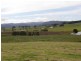 Lot 1 Hardmans Lane, Winnaleah TAS 7265