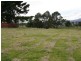 Lot 1 Hardmans Lane, Winnaleah TAS 7265