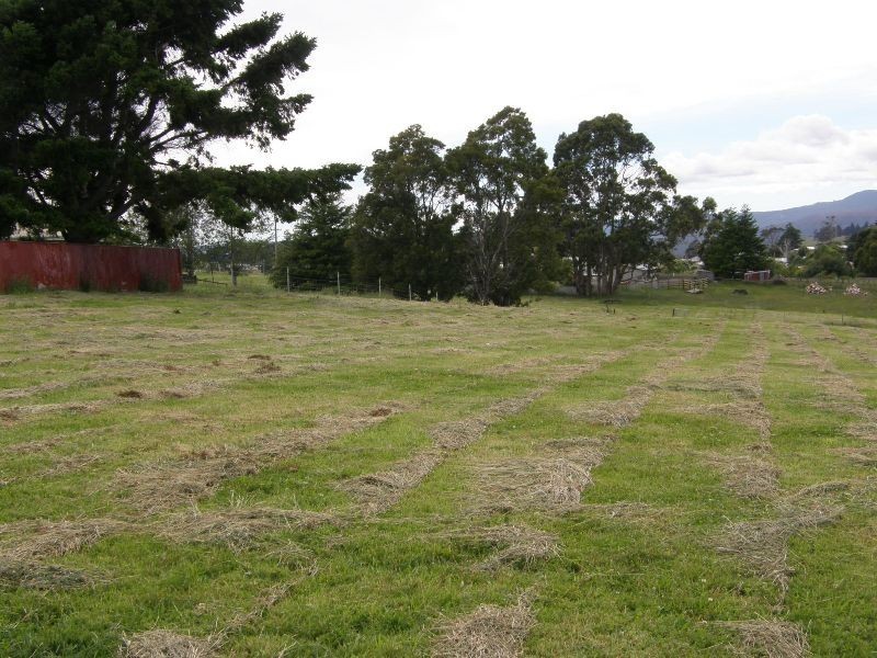 Lot 1 Hardmans Lane, Winnaleah TAS 7265