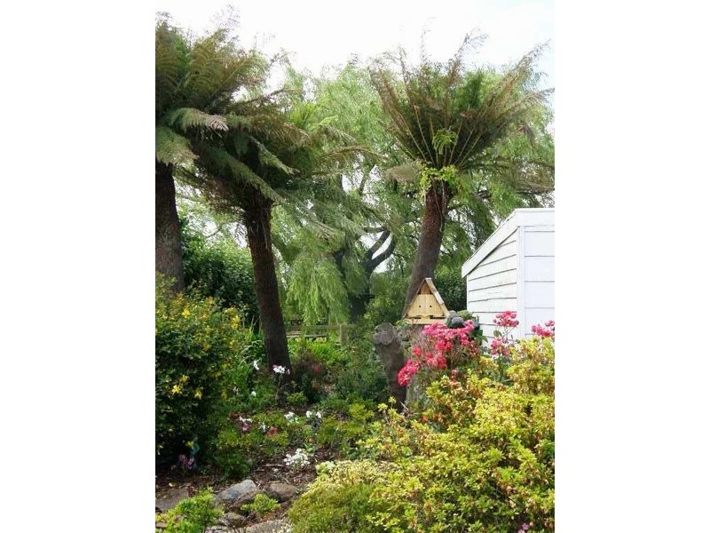 27 Main Street, Ringarooma TAS 7263