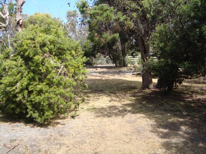 Lot 1 148 Westwood Street, Bridport TAS 7262