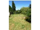 5 Maurice Street, Legerwood TAS 7263