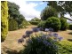 16 Fry Street, Ringarooma TAS 7263