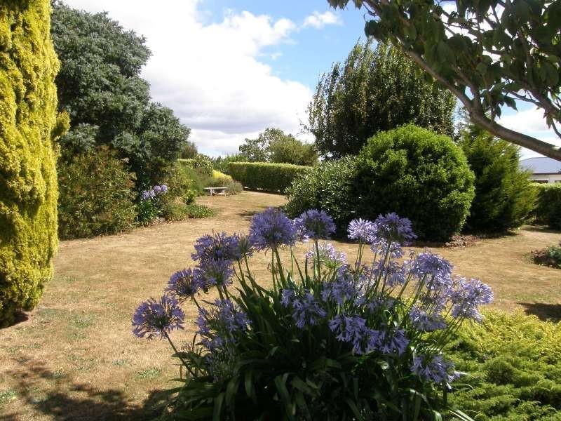 16 Fry Street, Ringarooma TAS 7263