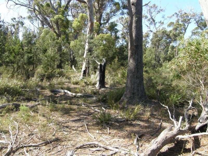 Part 13 North Ansons Road, Gladstone TAS 7264