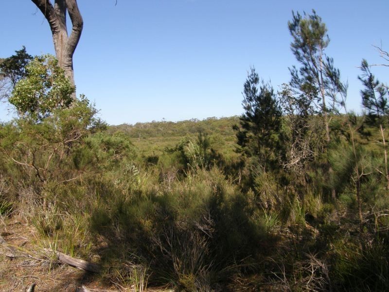 Part 13 North Ansons Road, Gladstone TAS 7264