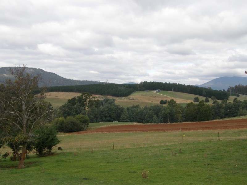 12 union, Scottsdale TAS 7260