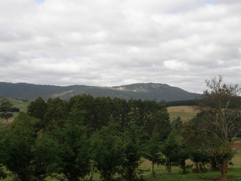 12 union, Scottsdale TAS 7260