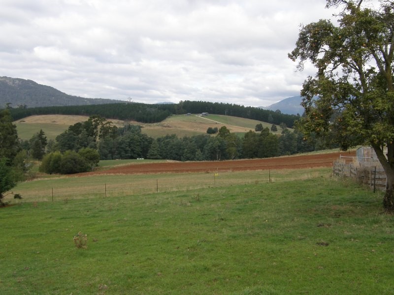 12 union, Scottsdale TAS 7260