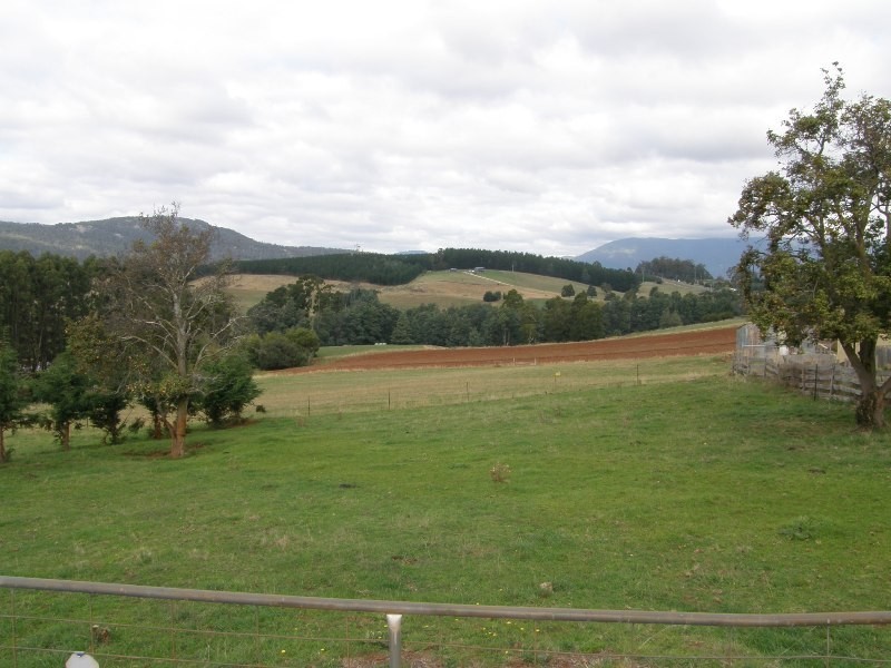 12 union, Scottsdale TAS 7260