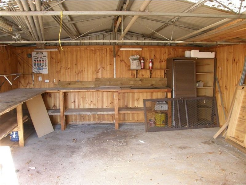 15 Alfred Street, Scottsdale TAS 7260