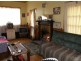 2 Hill Street, Derby TAS 7264