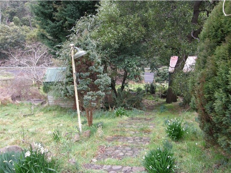 2 Hill Street, Derby TAS 7264