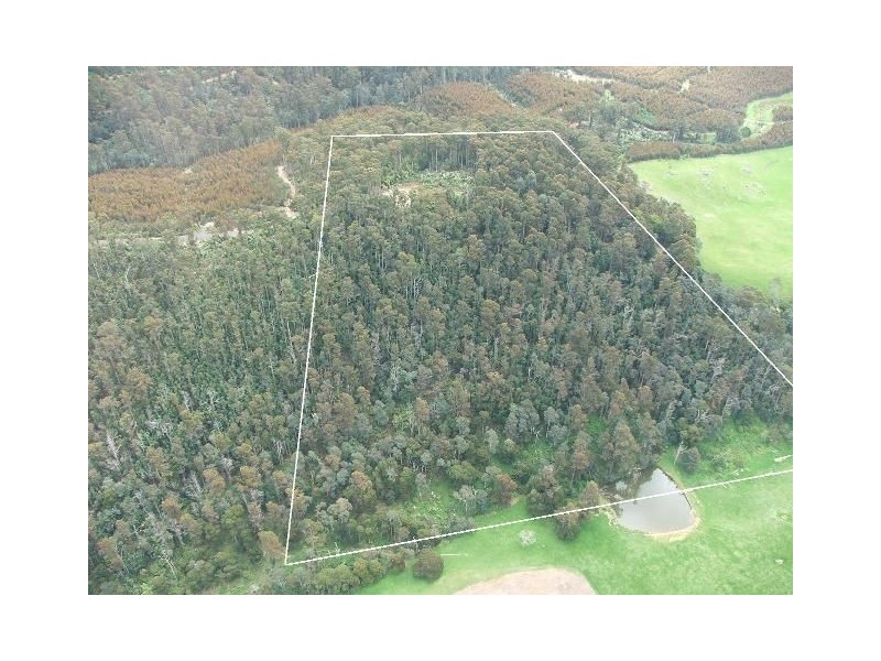 - Mt Victoria Road, Ringarooma TAS 7263