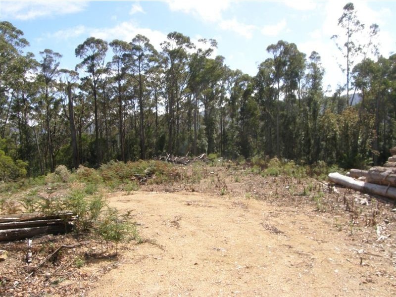 - Mt Victoria Road, Ringarooma TAS 7263