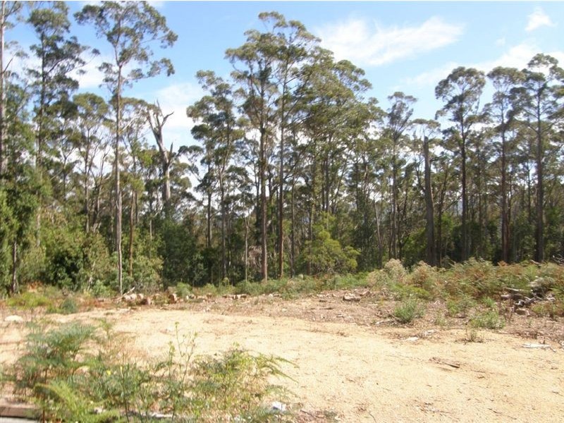 - Mt Victoria Road, Ringarooma TAS 7263